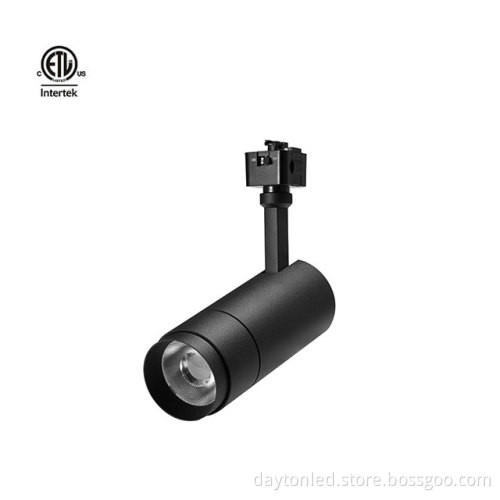 Daytonled Family Series LED Track Lights: High CRI, Triac & Local Dim, Various Wattages